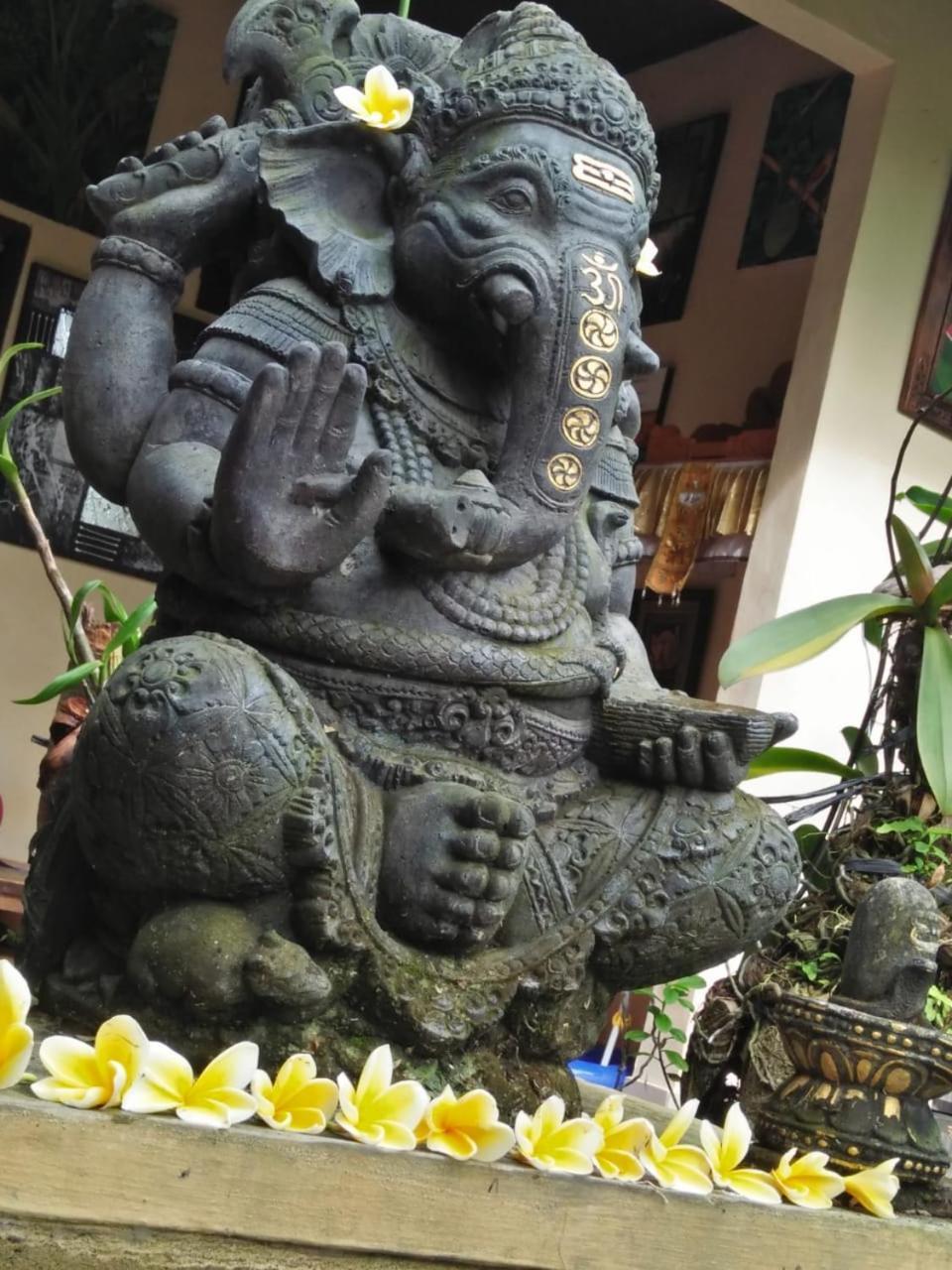 Bed and Breakfast Lionk Bali House Ubud Esterno foto