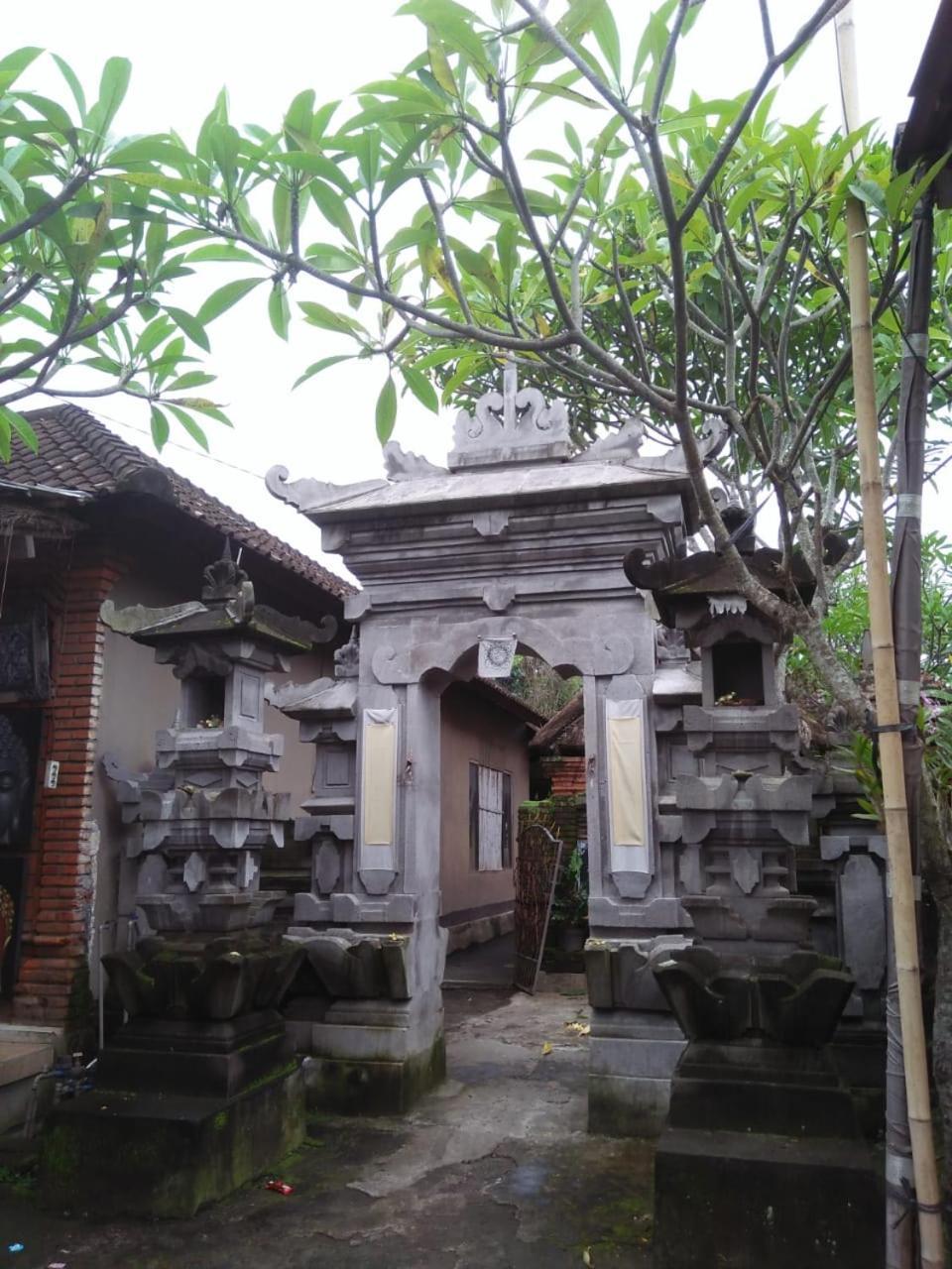 Bed and Breakfast Lionk Bali House Ubud Esterno foto